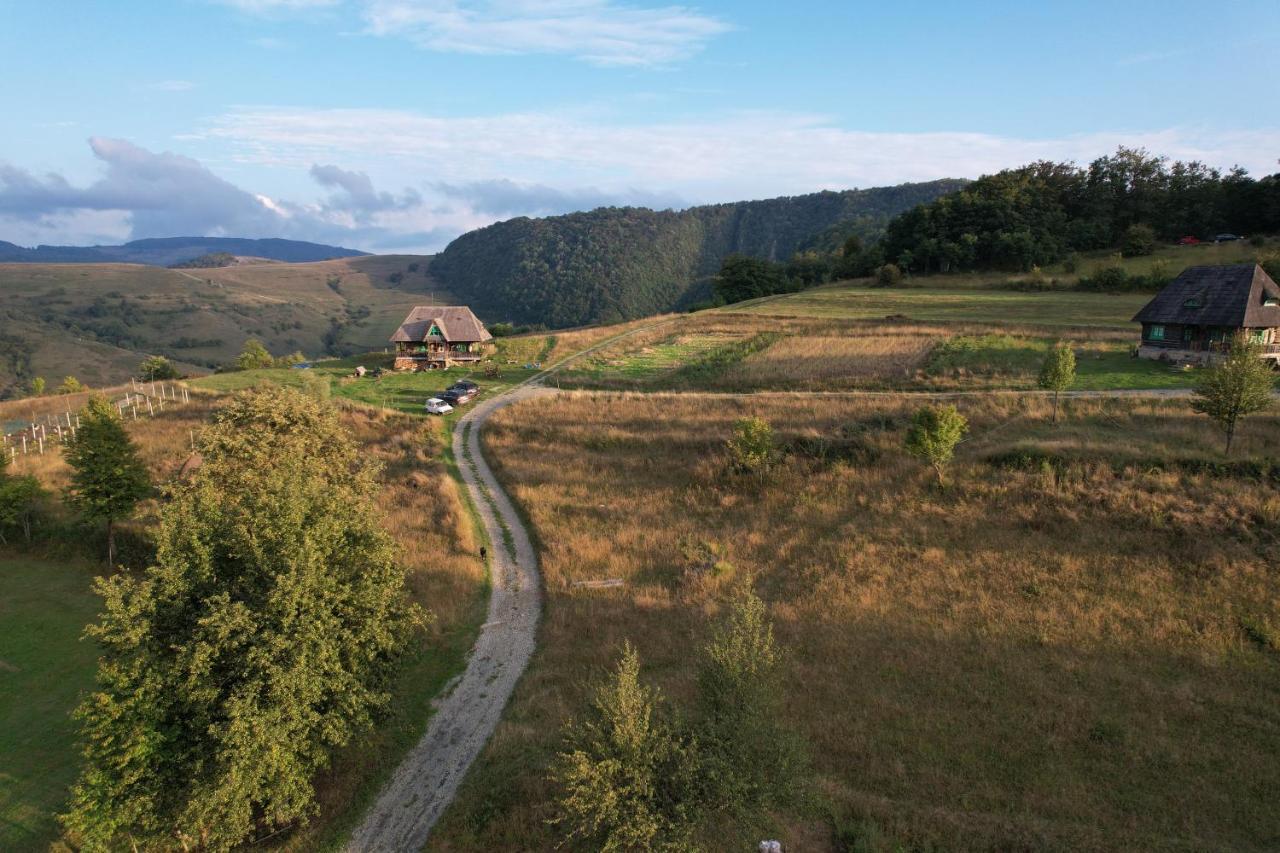 Casa Glod Pension Glod  Buitenkant foto
