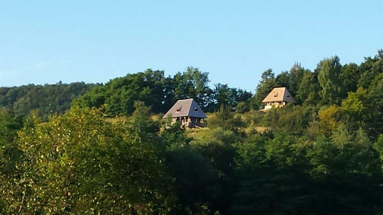 Casa Glod Pension Glod  Buitenkant foto