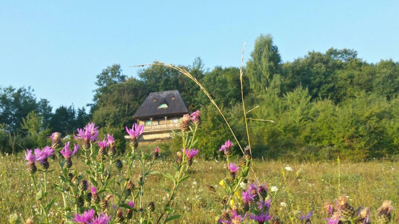 Casa Glod Pension Glod  Buitenkant foto