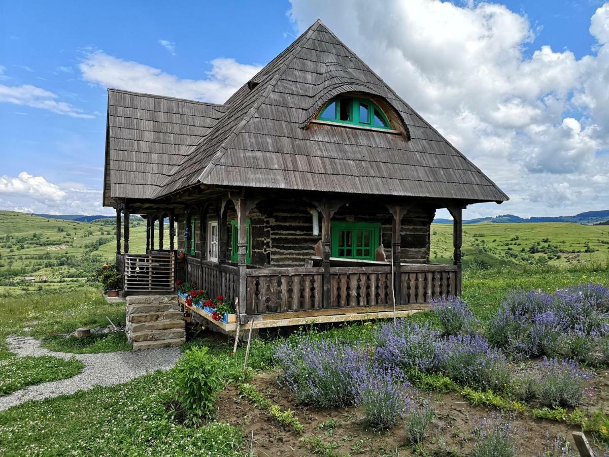 Casa Glod Pension Glod  Buitenkant foto