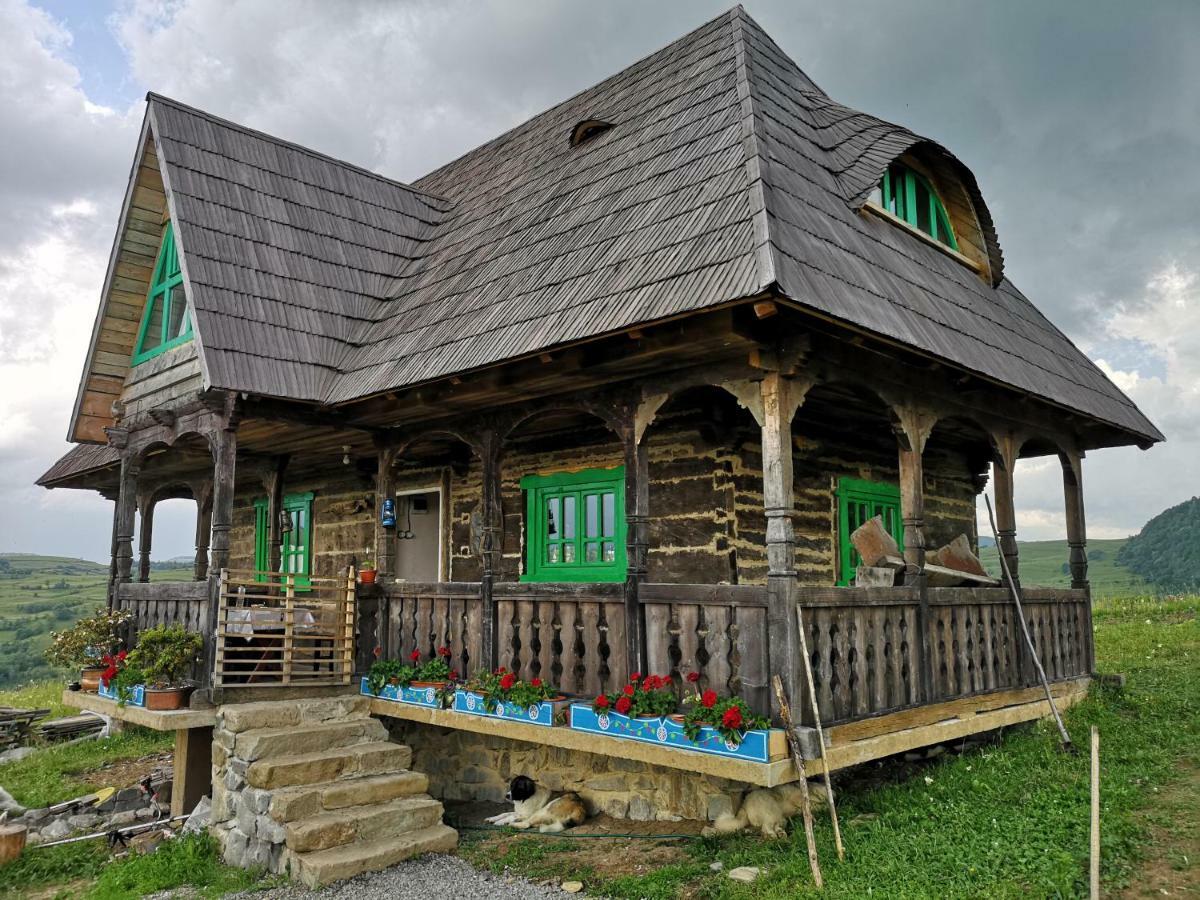 Casa Glod Pension Glod  Buitenkant foto