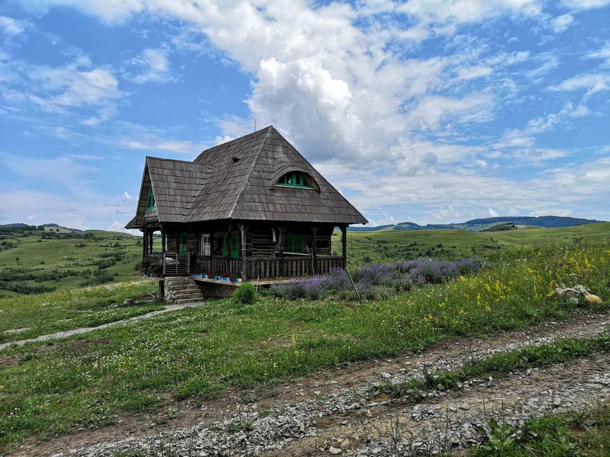 Casa Glod Pension Glod  Buitenkant foto