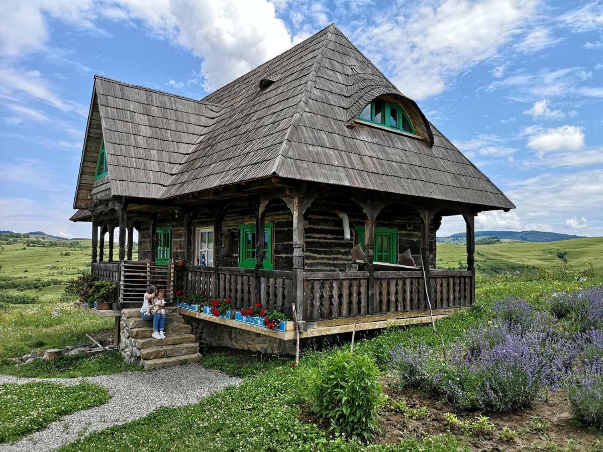 Casa Glod Pension Glod  Buitenkant foto