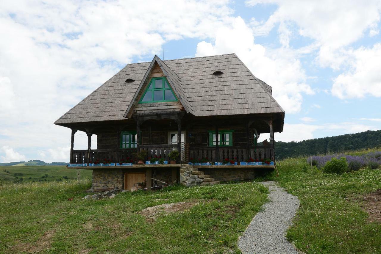 Casa Glod Pension Glod  Buitenkant foto